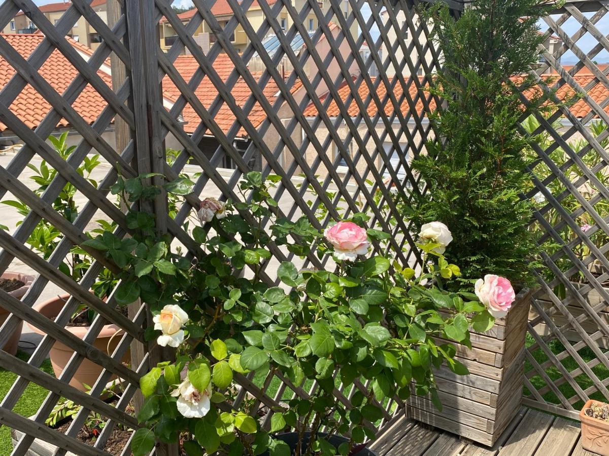 Le Patio Pere Pigne Guestroom Perpignan Bagian luar foto